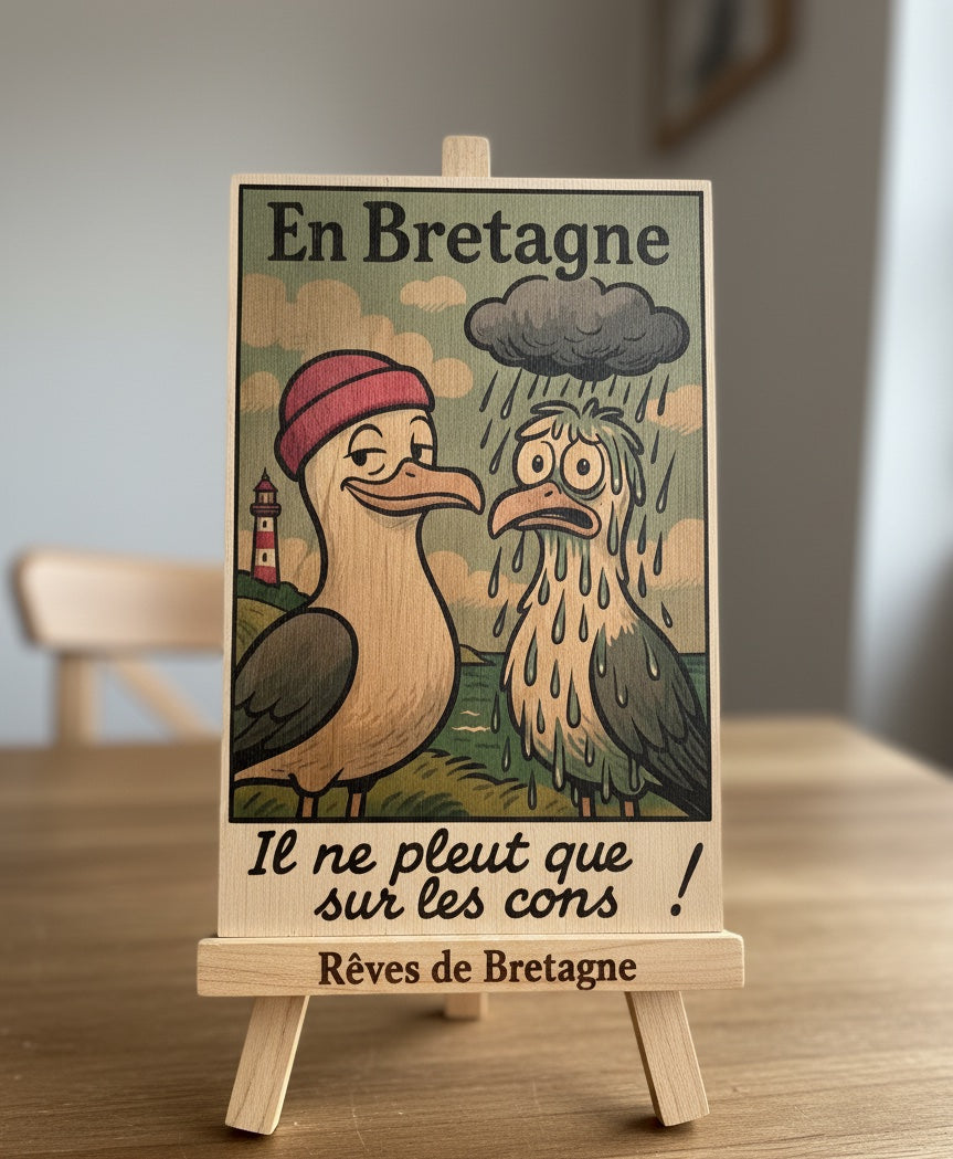 Plaque décorative bretonne “Il ne pleut que sur les cons” – Goélands humoristiques