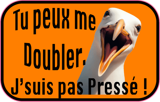 Autocollant Mouette Tu Peux Me Doubler - Autocollant BZH