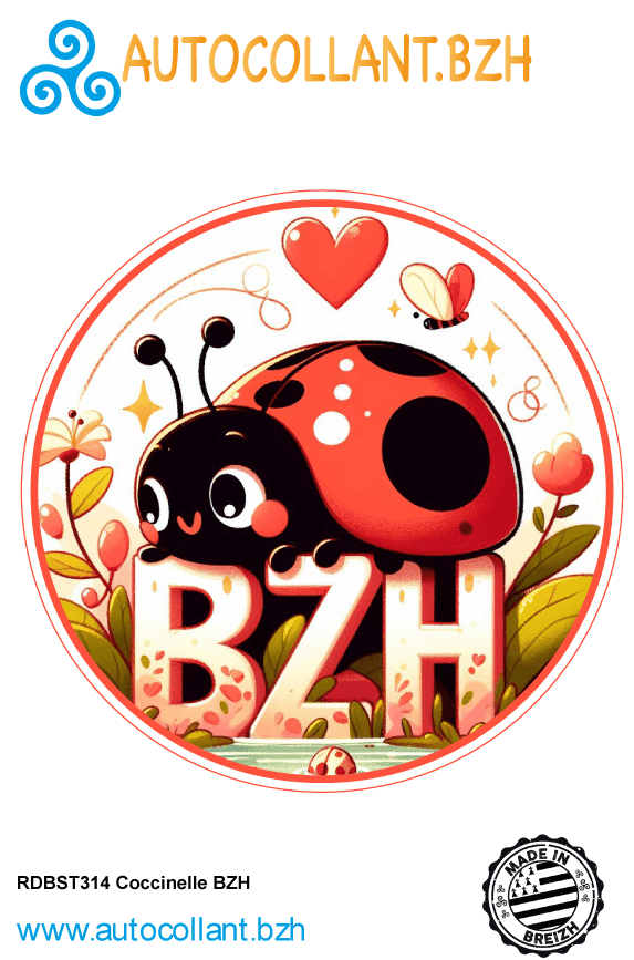 Lot De 2 Autocollants Coccinelle Pour Voiture, Moto, Ordinateur
