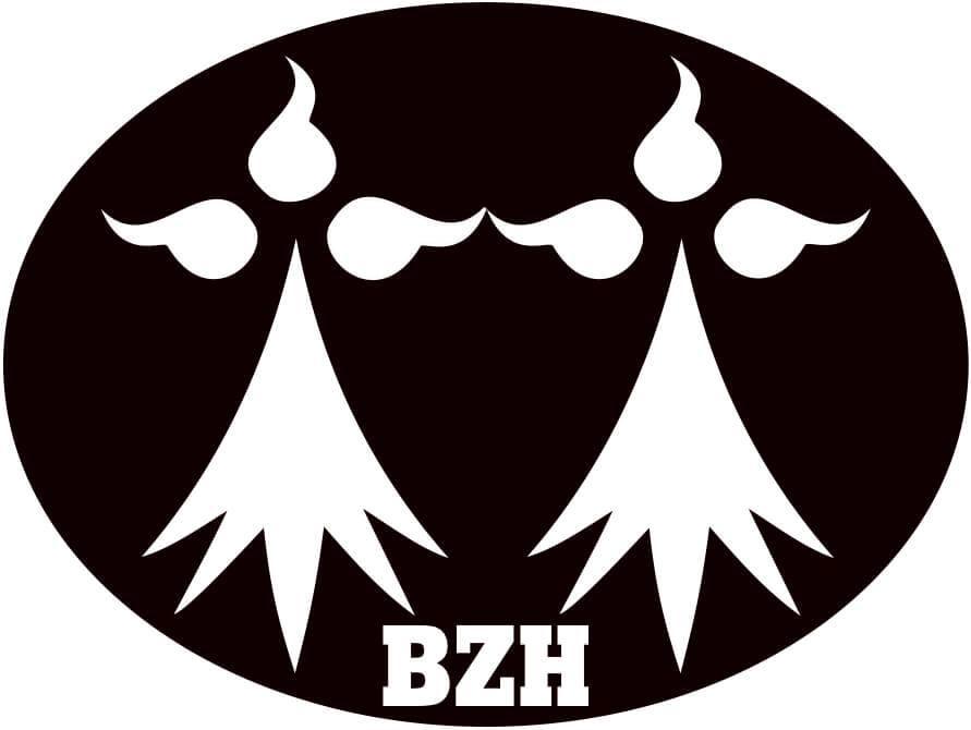 Autocollant Breton Visage Hermines Blanches - Autocollant BZH