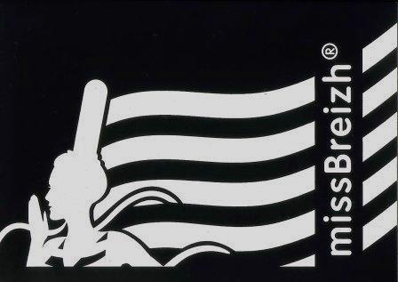 Autocollant Drapeau Breton missBreizh - Autocollant BZH