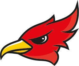 Autocollant Roadrunner - Autocollant BZH