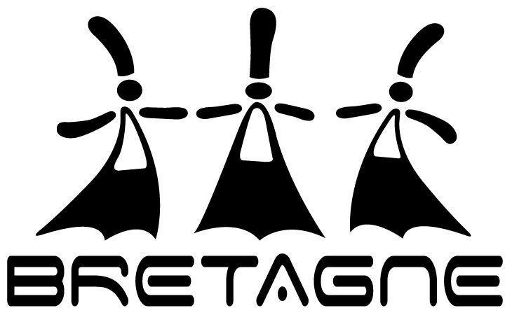 Grand Autocollant décoratif Bretagne Bigoudènes en Noir - Autocollant BZH