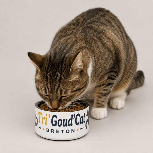 Gamelle Tri'Goud'Cat Breton – Inox Antidérapant pour Chat