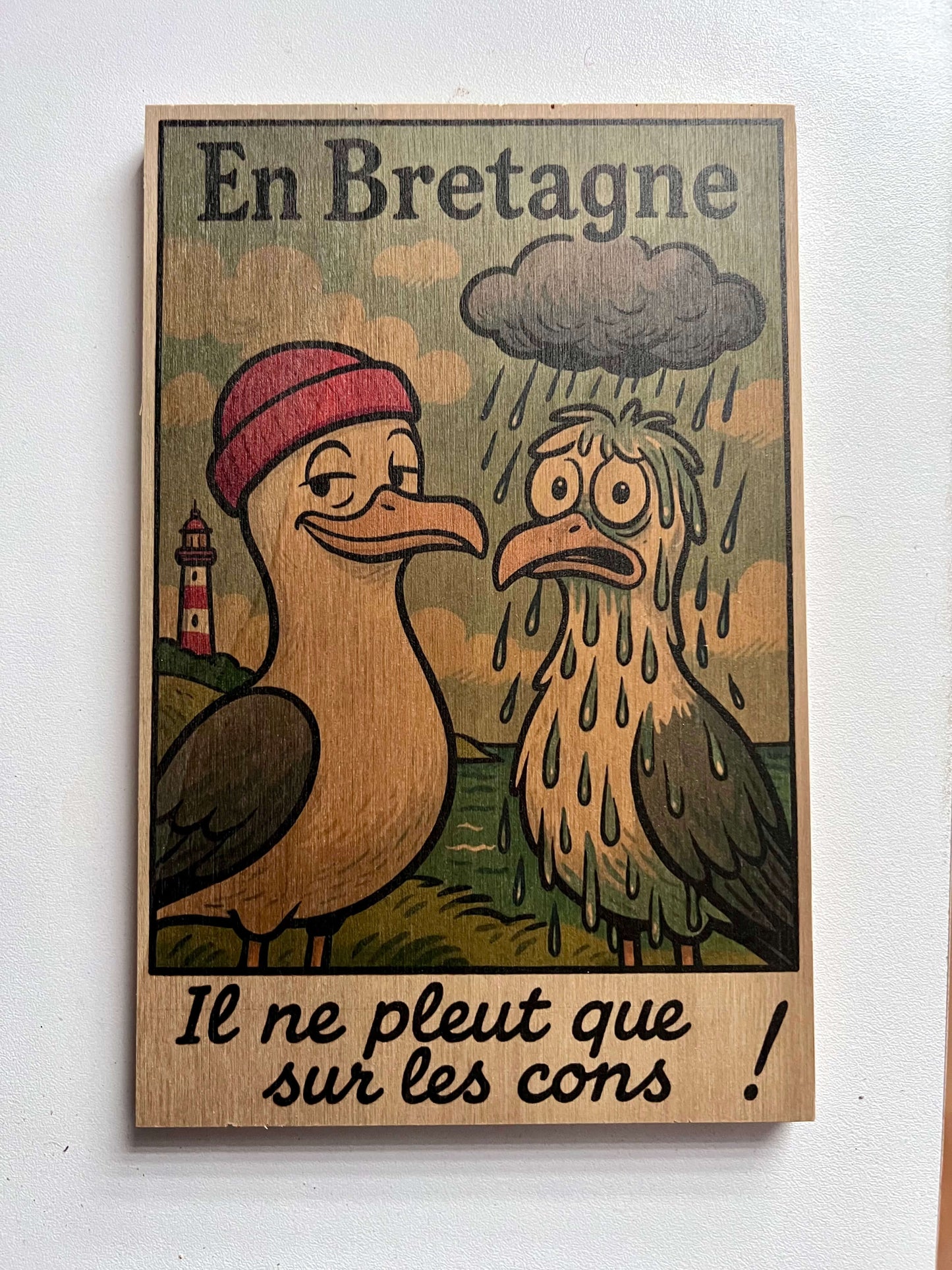 Plaque décorative bretonne “Il ne pleut que sur les cons” – Goélands humoristiques