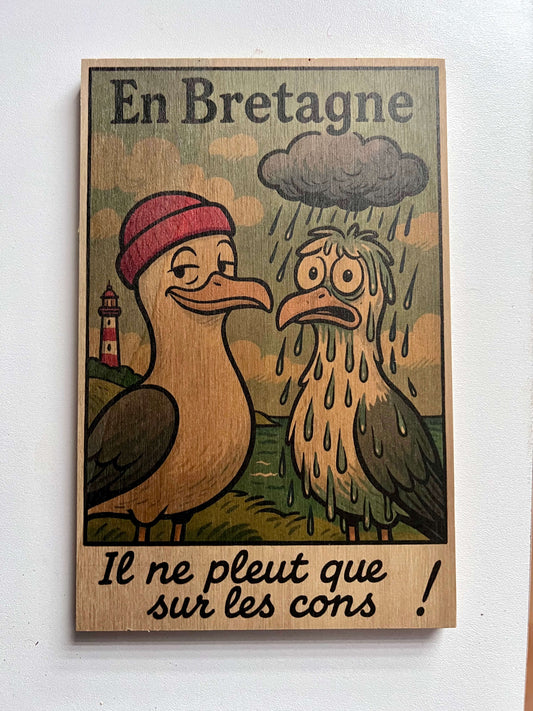 Plaque décorative bretonne “Il ne pleut que sur les cons” – Goélands humoristiques