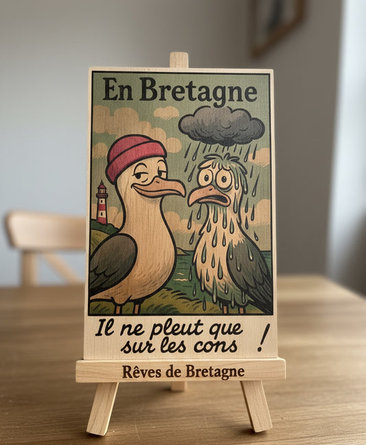 Plaque décorative bretonne “Il ne pleut que sur les cons” – Goélands humoristiques