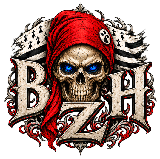 Autocollant breton Breizh Skull BZH – 90 × 89 mm