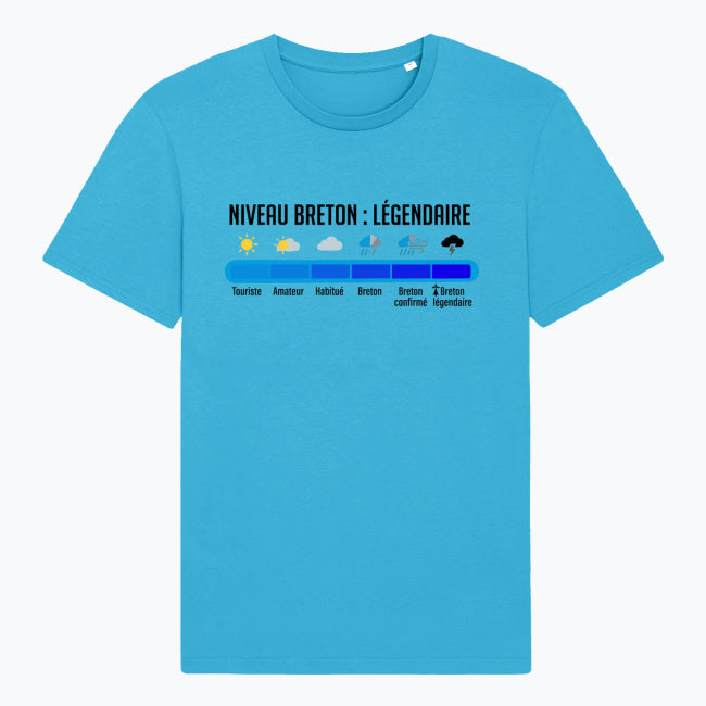 T-shirt Breton Légendaire | 100% Coton Bio