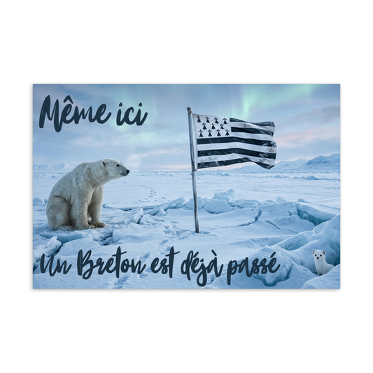 Carte postale Bretonne Même ici Pôle Nord