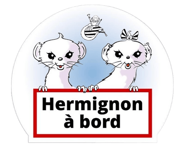 Autocollant Breton Bébé à bord Hermignon - Autocollant BZH