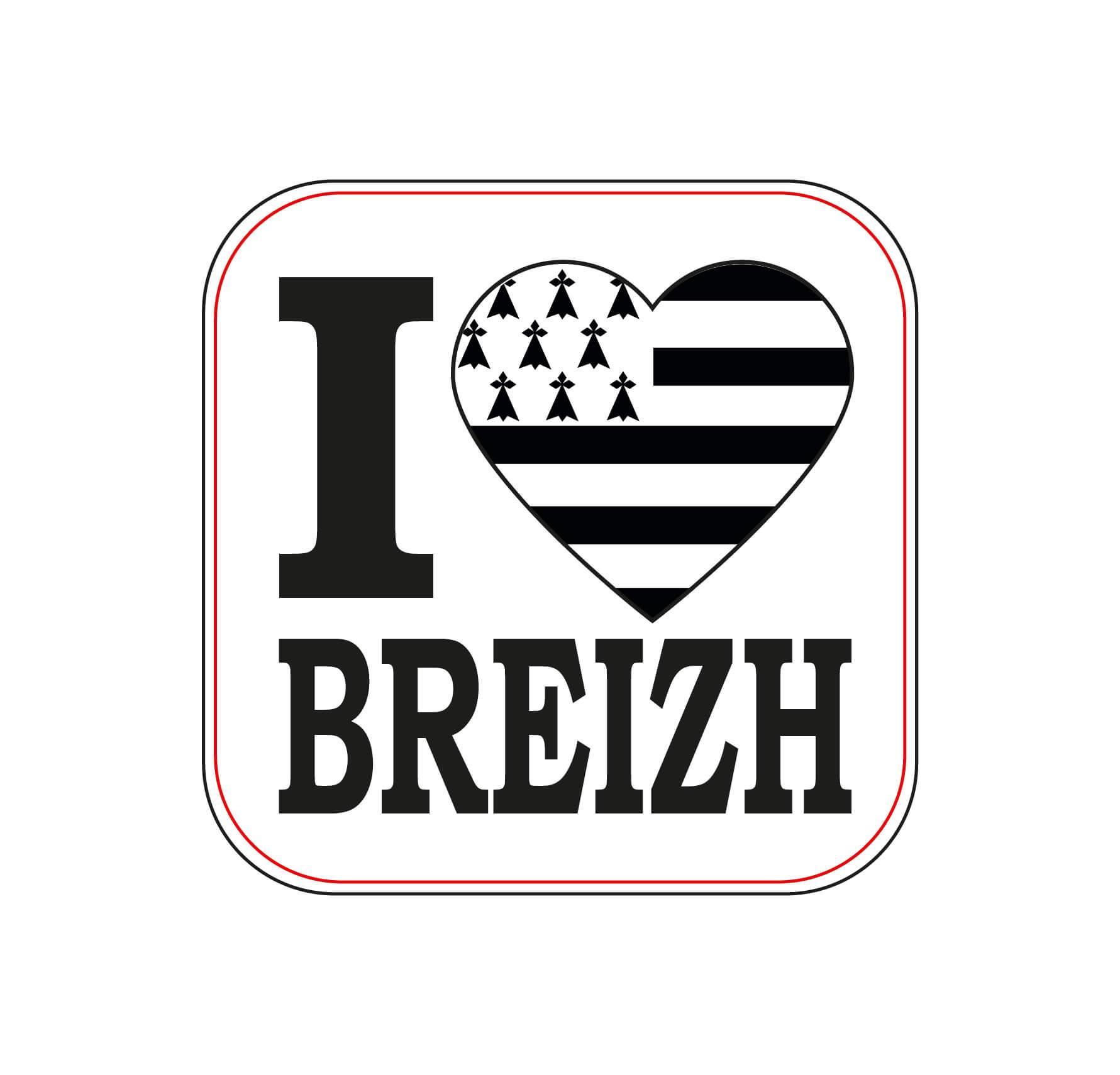 Affiche Murale Poster Drapeau Breton L'Hermine 40 x 30 cm Affiche Murale Poster Drapeau Breton L'Hermine 40 x 30 cm