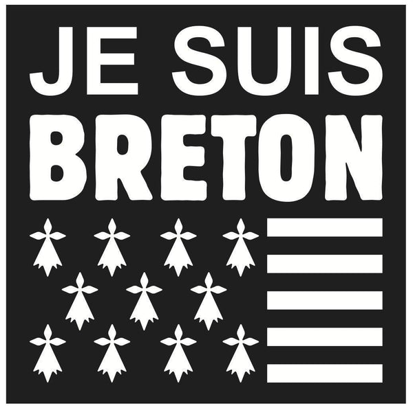 Autocollant Bretagne Breizh – Drapeau Breton Et Phare – 10x10 Cm, Vinyle Blanc Brillant, Imperméable – Décoration Voiture/PC